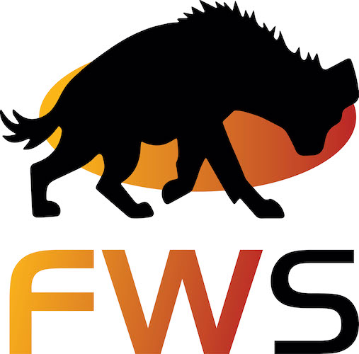 Firewatch Solutions logo